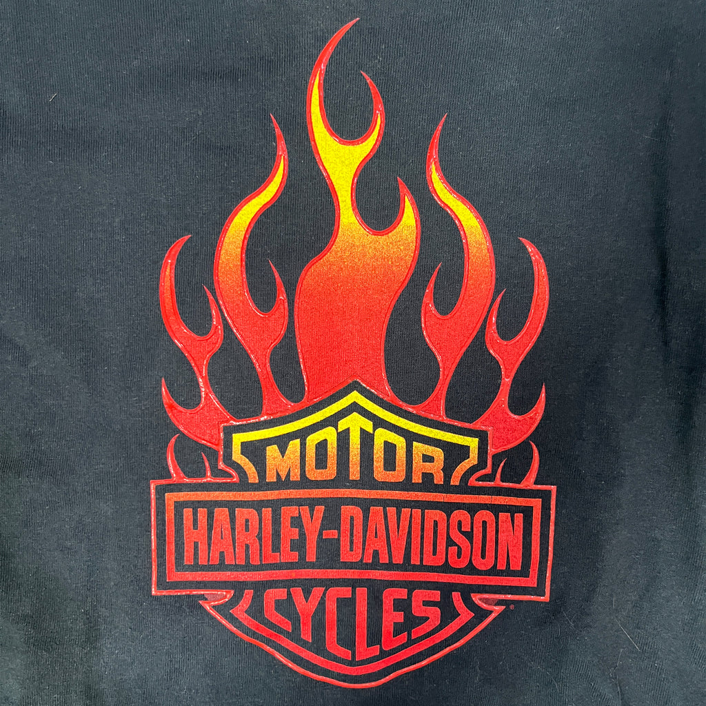 ◾️ 2000 Harley-Davidson American Motorcycle Classics Albany Oregon Flame Long Sleeve T-Shirt