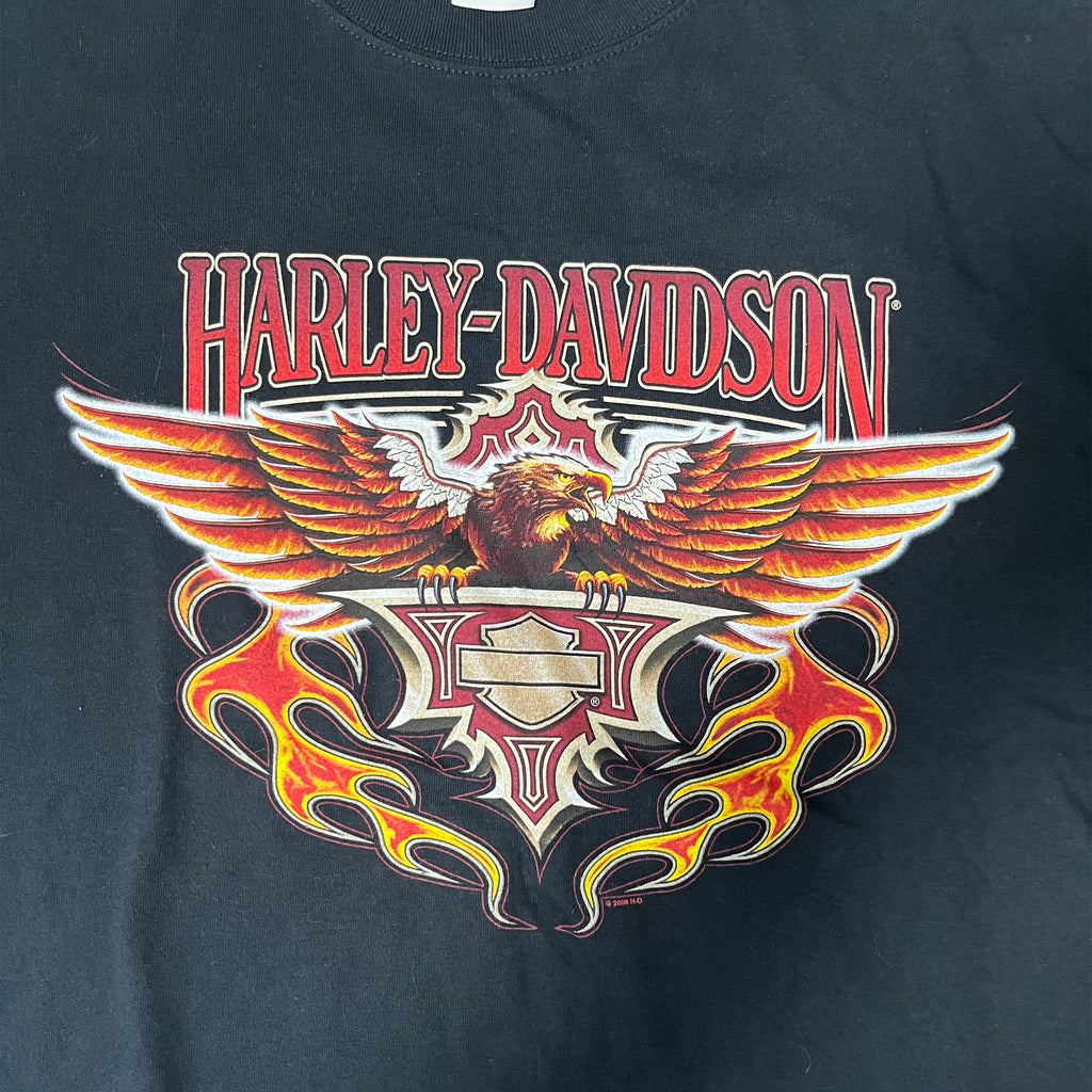 ◾️07 Harley-Davidson Mike's Famous Smyrna Delaware Eagle Flame Vintage T-Shirt