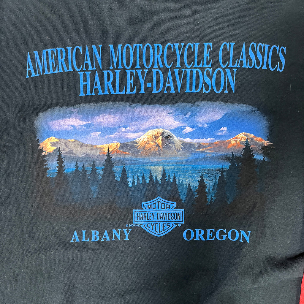 ◾️ 2000 Harley-Davidson American Motorcycle Classics Albany Oregon Flame Long Sleeve T-Shirt