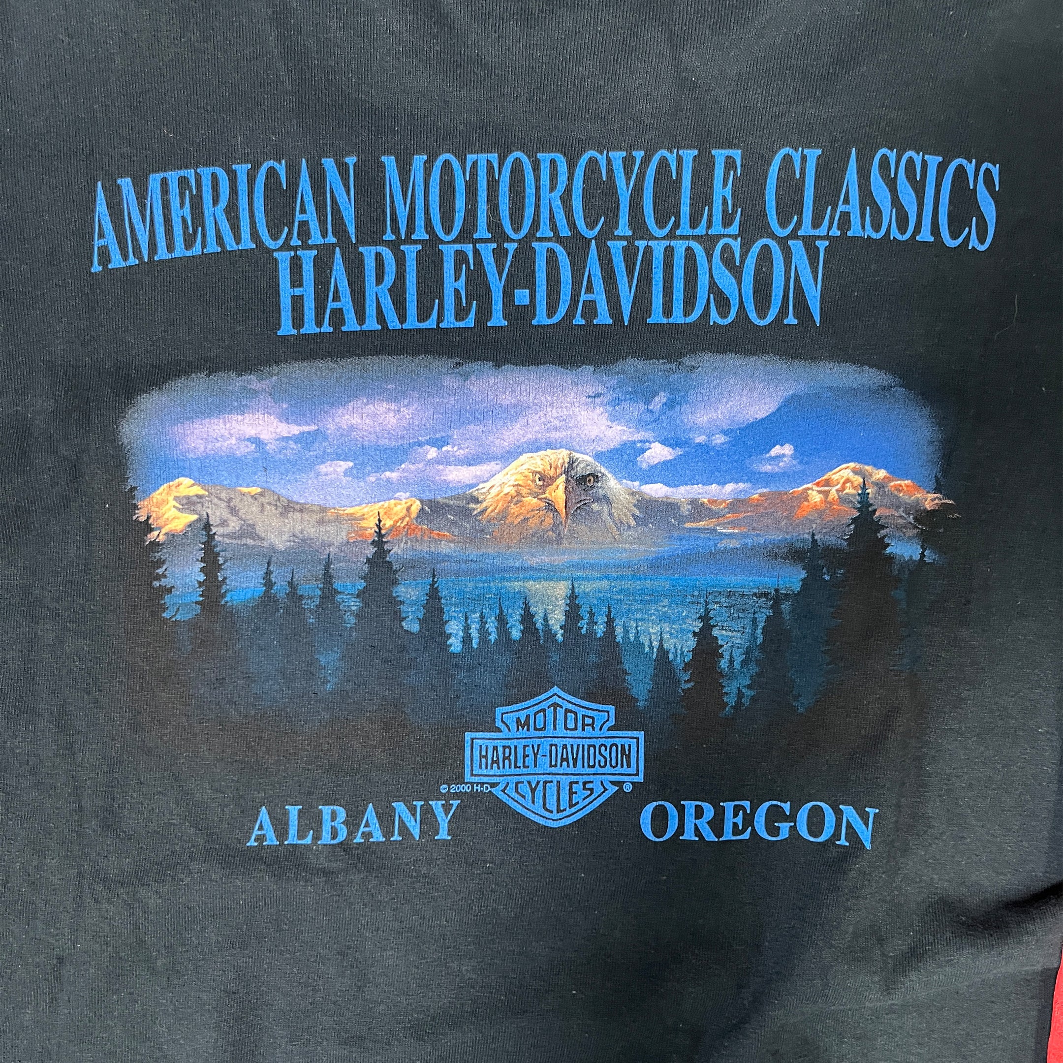 ◾️ 2000 Harley-Davidson American Motorcycle Classics Albany Oregon Flame Long Sleeve T-Shirt