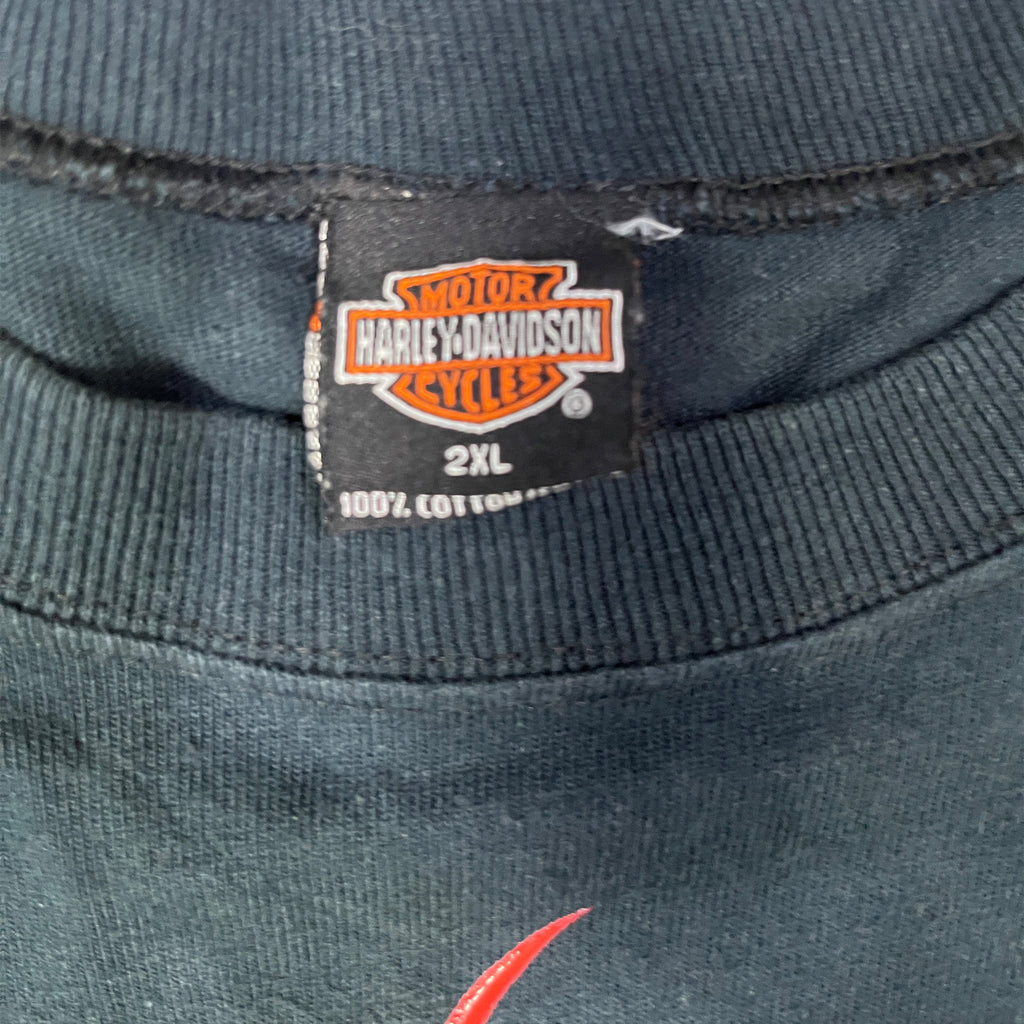 ◾️ 2000 Harley-Davidson American Motorcycle Classics Albany Oregon Flame Long Sleeve T-Shirt