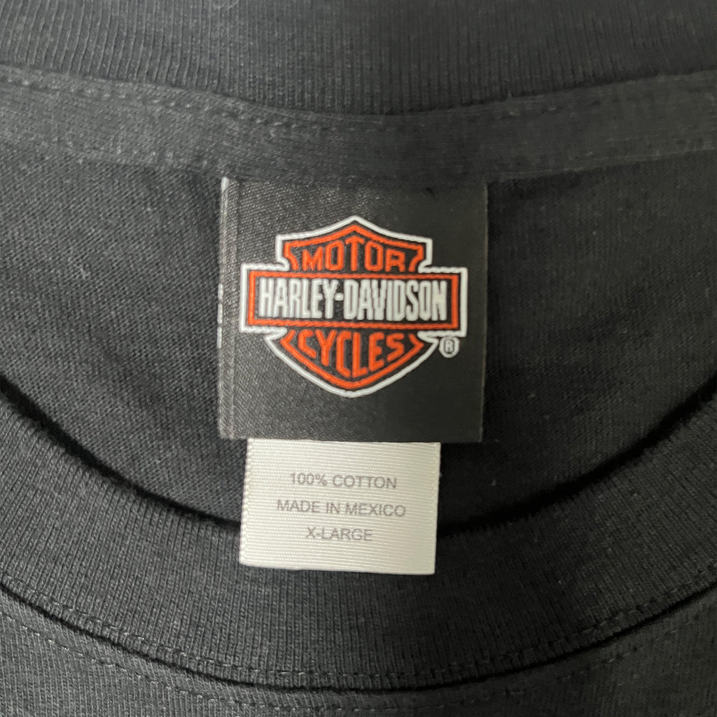 ◾️07 Harley-Davidson Mike's Famous Smyrna Delaware Eagle Flame Vintage T-Shirt